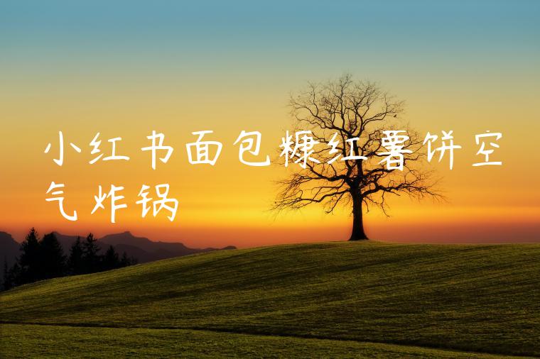 小红书面包糠红薯饼空气炸锅 小红书面包糠红薯饼空气炸锅