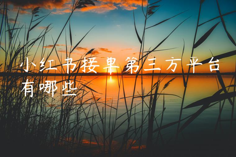 小红书接单第三方平台有哪些 小红书接单第三方平台有哪些