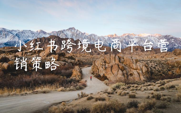小红书跨境电商平台营销策略
