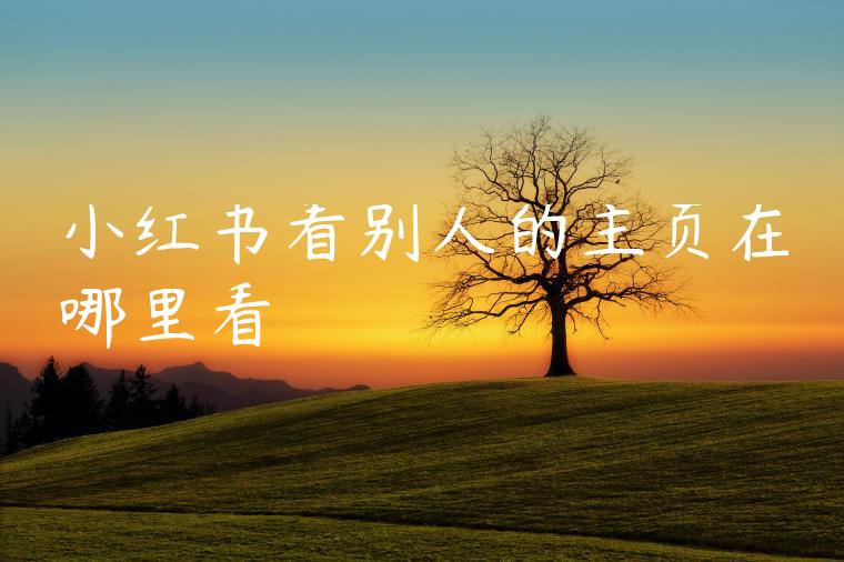 小红书看别人的主页在哪里看 小红书看别人的主页在哪里看