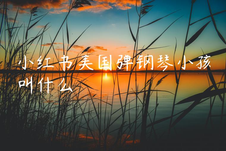 小红书美国弹钢琴小孩叫什么 小红书美国弹钢琴小孩叫什么