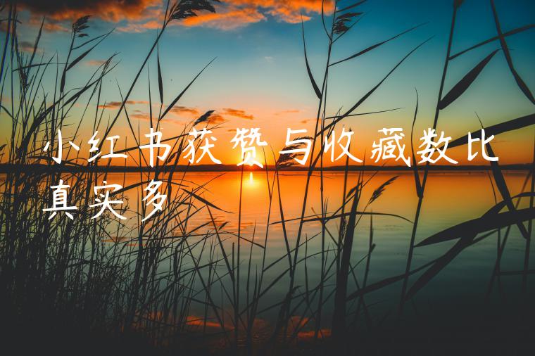 小红书获赞与收藏数比真实多