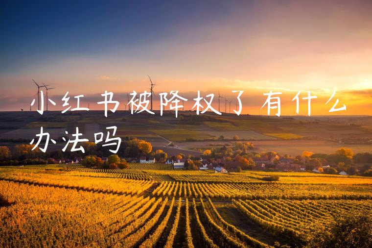 小红书被降权了有什么办法吗 小红书被降权了有什么办法吗