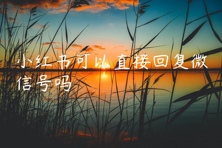 小红书可以直接回复微信号吗 小红书可以直接回复微信号吗