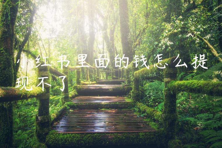 小红书里面的钱怎么提现不了 小红书里面的钱怎么提现不了