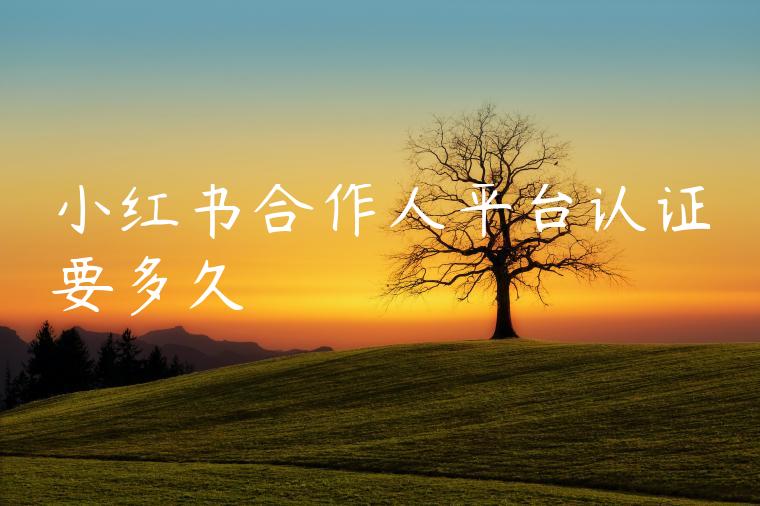 小红书合作人平台认证要多久