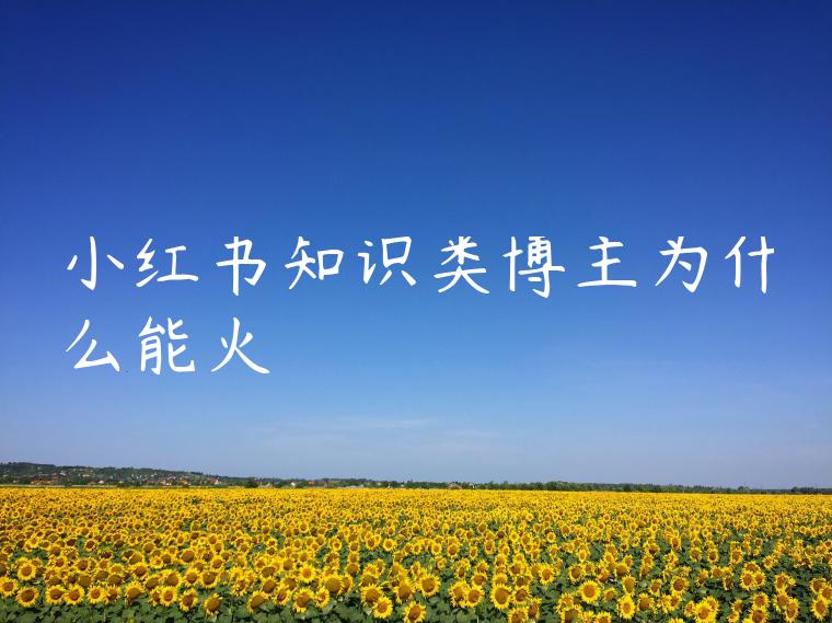 小红书知识类博主为什么能火