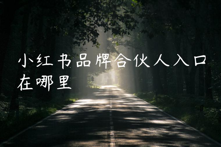 小红书品牌合伙人入口在哪里 小红书品牌合伙人入口在哪里