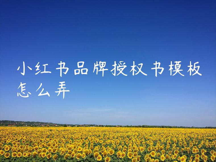 小红书品牌授权书模板怎么弄