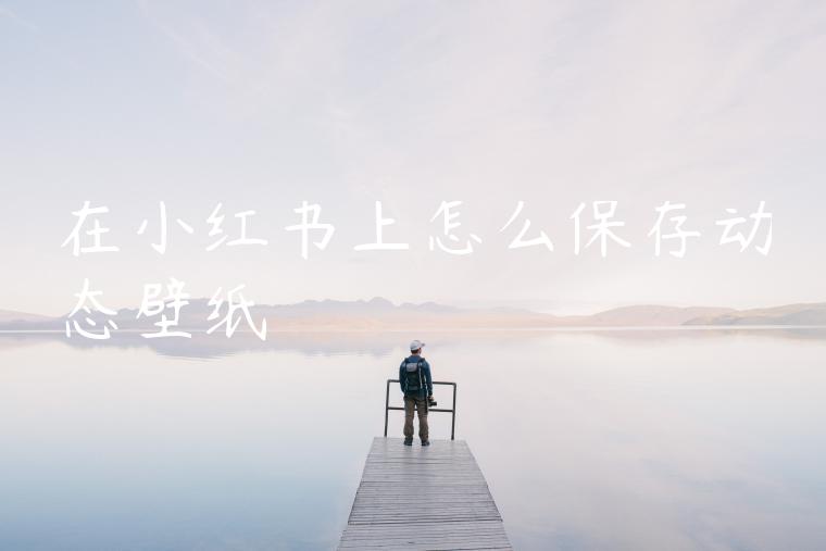 在小红书上怎么保存动态壁纸 在小红书上怎么保存动态壁纸