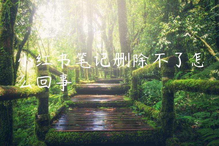 小红书笔记删除不了怎么回事 小红书笔记删除不了怎么回事