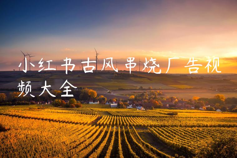 小红书古风串烧广告视频大全