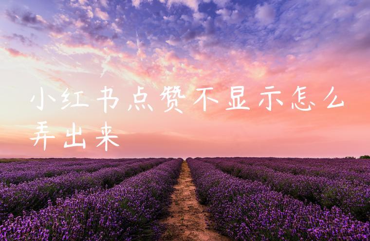 小红书点赞不显示怎么弄出来 小红书点赞不显示怎么弄出来