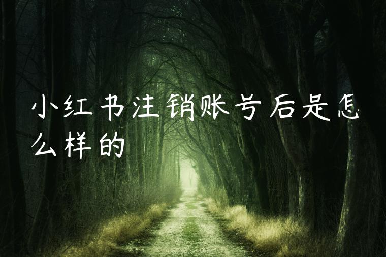 小红书注销账号后是怎么样的 小红书注销账号后是怎么样的