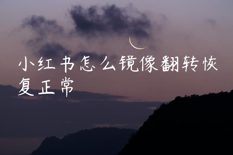 小红书怎么镜像翻转恢复正常