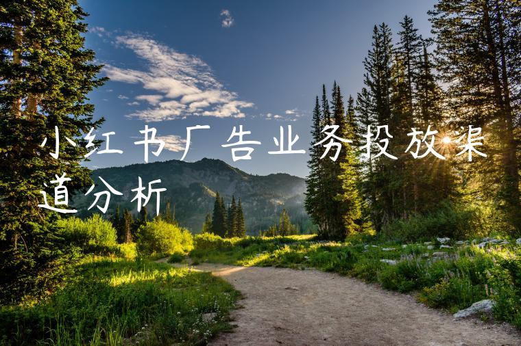 小红书广告业务投放渠道分析