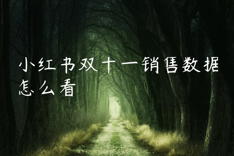 小红书双十一销售数据怎么看 小红书双十一销售数据怎么看