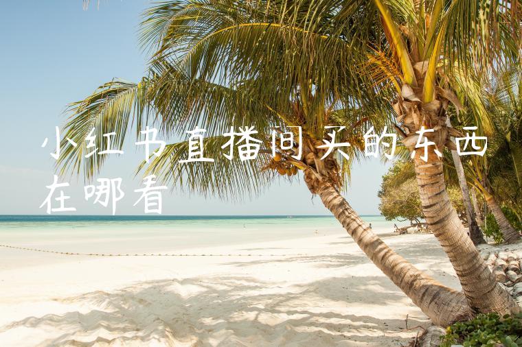 小红书直播间买的东西在哪看 小红书直播间买的东西在哪看