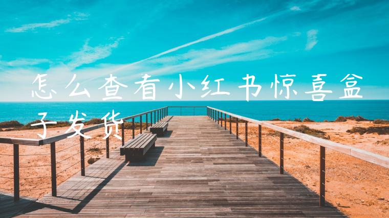 怎么查看小红书惊喜盒子发货