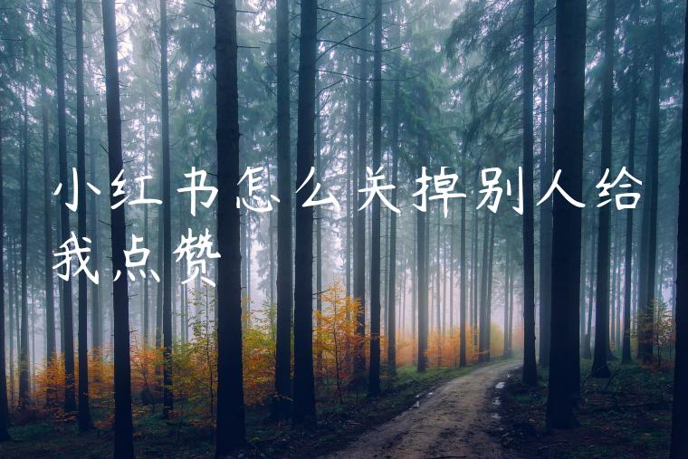 小红书怎么关掉别人给我点赞 小红书怎么关掉别人给我点赞