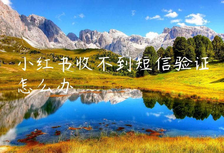 小红书收不到短信验证怎么办 小红书收不到短信验证怎么办