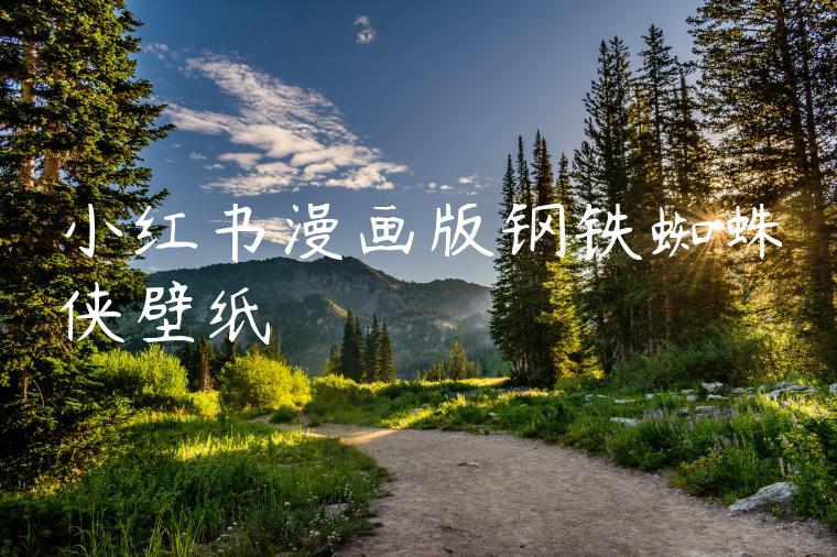 小红书漫画版钢铁蜘蛛侠壁纸