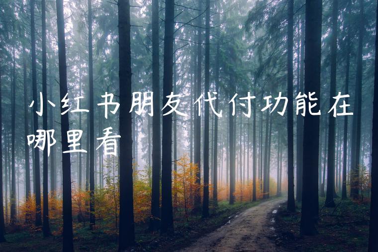 小红书朋友代付功能在哪里看