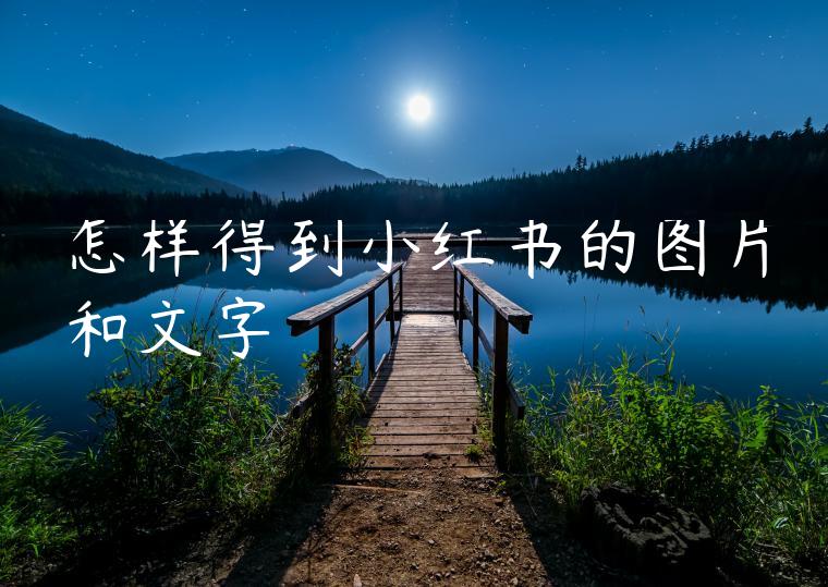 怎样得到小红书的图片和文字