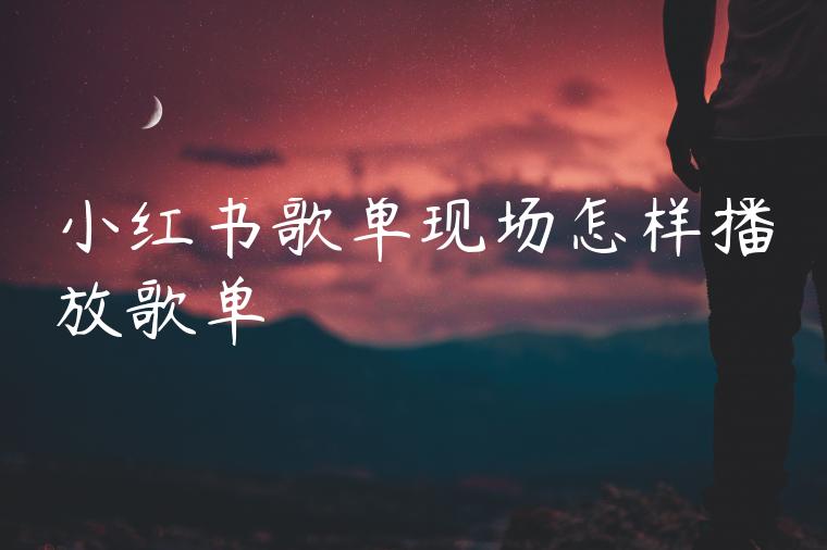 小红书歌单现场怎样播放歌单