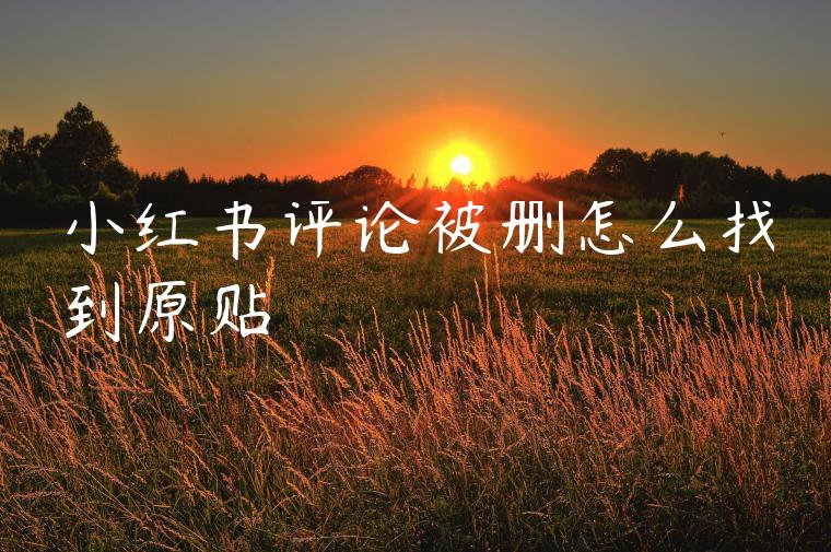 小红书评论被删怎么找到原贴 小红书评论被删怎么找到原贴