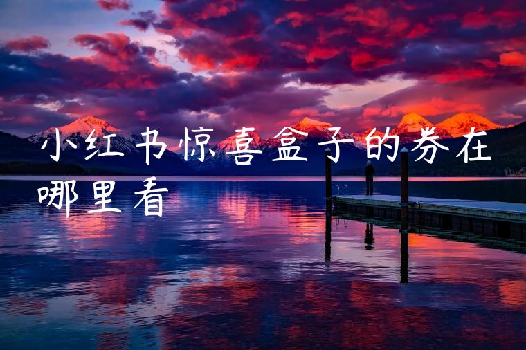 小红书惊喜盒子的券在哪里看