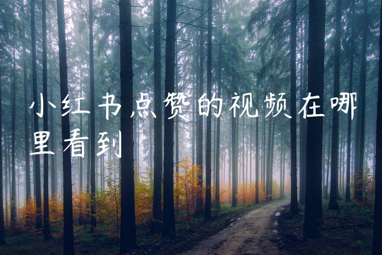小红书点赞的视频在哪里看到