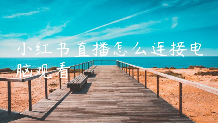 小红书直播怎么连接电脑观看 小红书直播怎么连接电脑观看