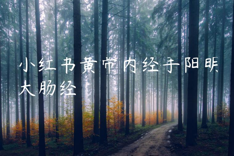 小红书黄帝内经手阳明大肠经 小红书黄帝内经手阳明大肠经