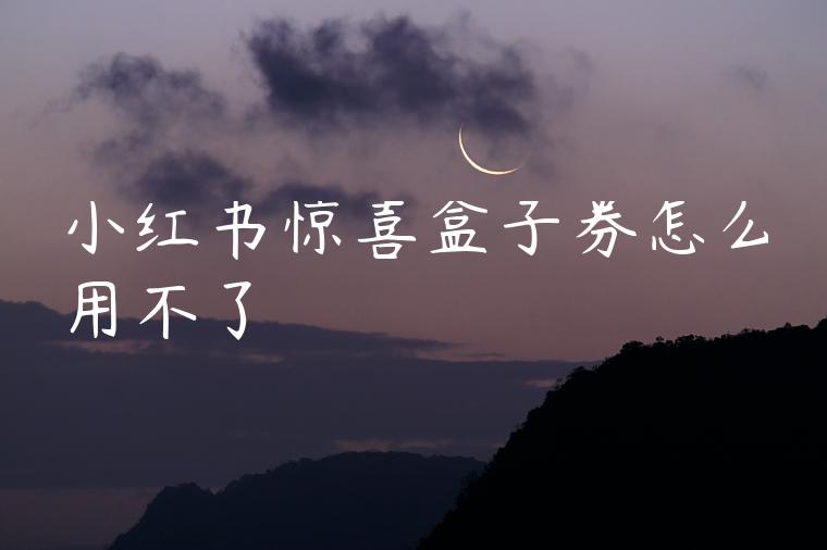 小红书惊喜盒子券怎么用不了 小红书惊喜盒子券怎么用不了