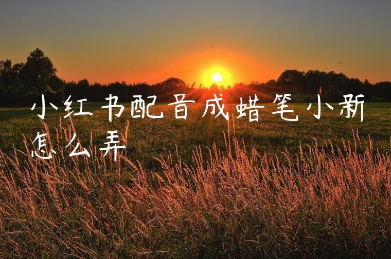 小红书配音成蜡笔小新怎么弄 小红书配音成蜡笔小新怎么弄