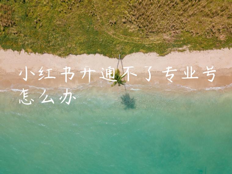 小红书开通不了专业号怎么办