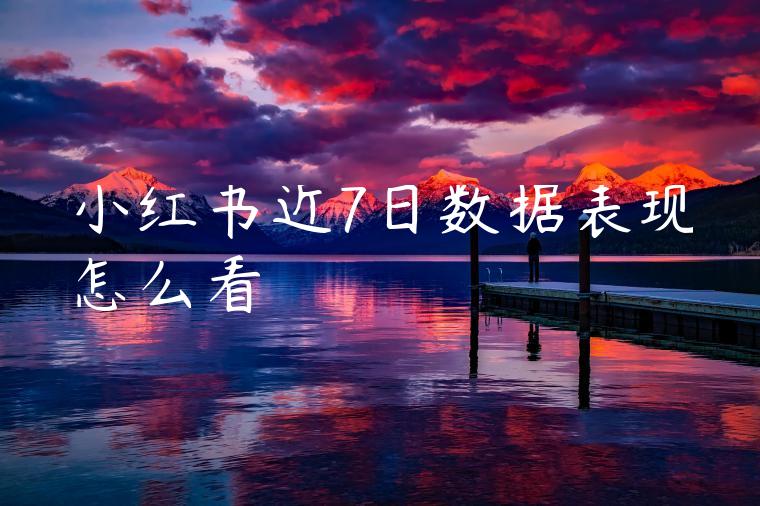小红书近7日数据表现怎么看