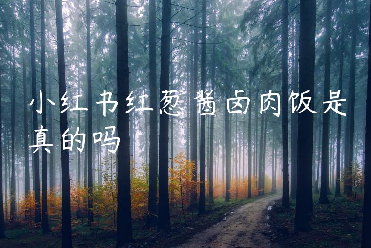 小红书红葱酱卤肉饭是真的吗