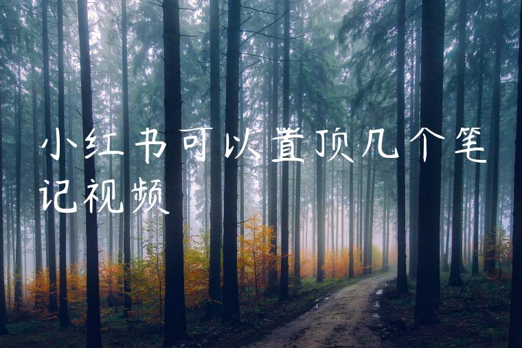 小红书可以置顶几个笔记视频