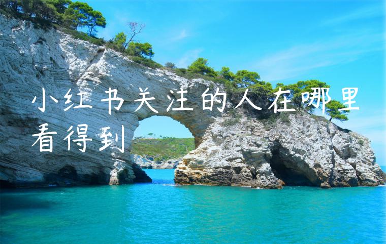 小红书关注的人在哪里看得到 小红书关注的人在哪里看得到