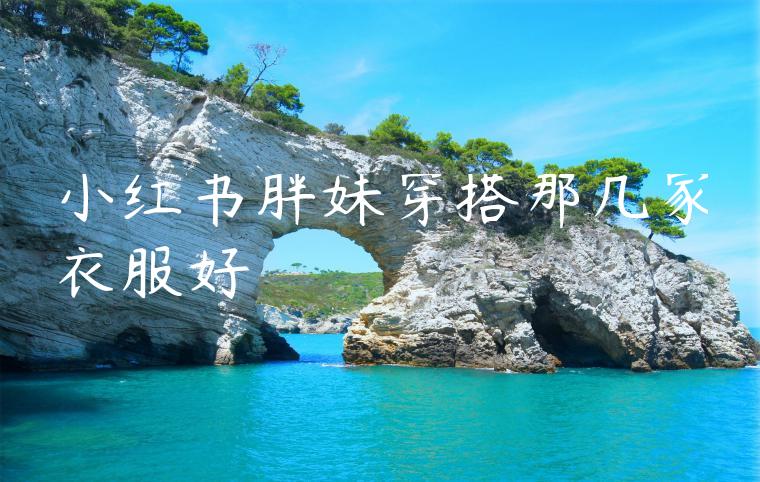 小红书胖妹穿搭那几家衣服好 小红书胖妹穿搭那几家衣服好