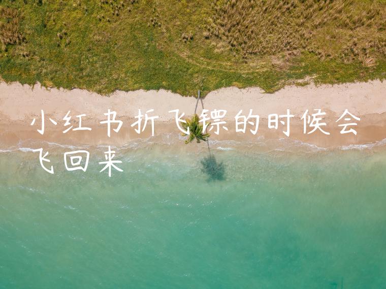 小红书折飞镖的时候会飞回来 小红书折飞镖的时候会飞回来