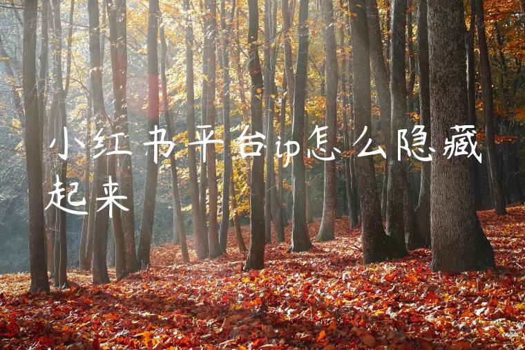 小红书平台ip怎么隐藏起来 小红书平台ip怎么隐藏起来