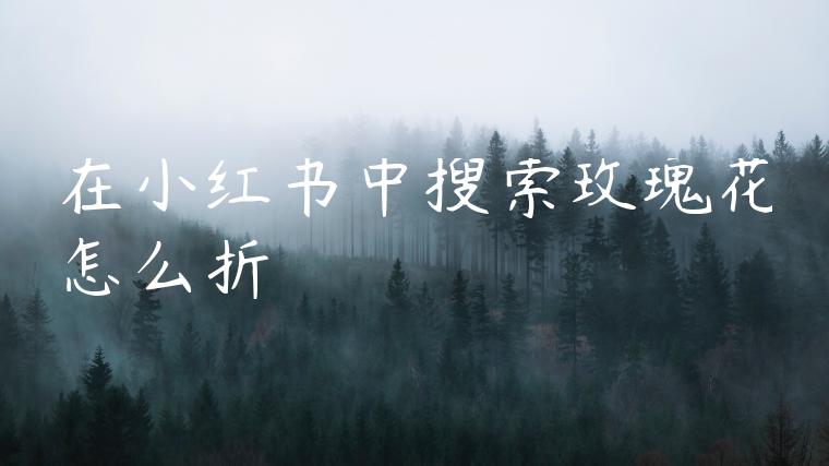 在小红书中搜索玫瑰花怎么折