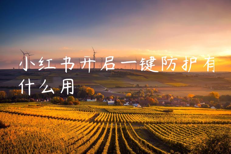 小红书开启一键防护有什么用