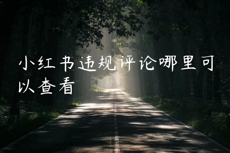 小红书违规评论哪里可以查看 小红书违规评论哪里可以查看