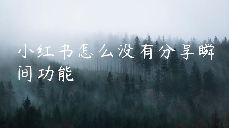 小红书怎么没有分享瞬间功能 小红书怎么没有分享瞬间功能
