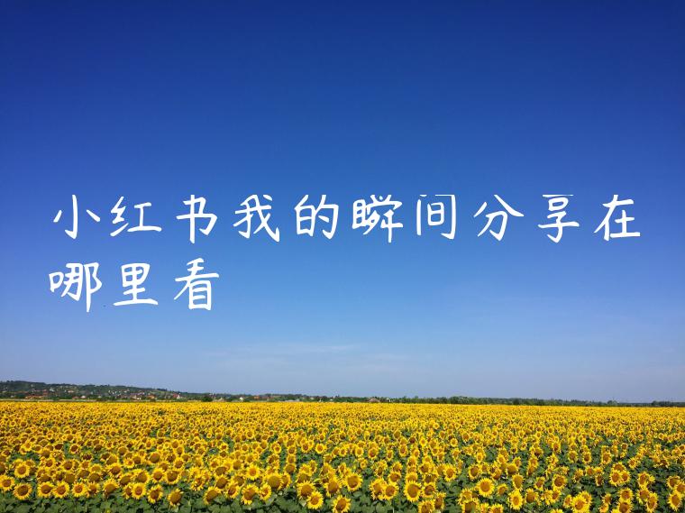 小红书我的瞬间分享在哪里看