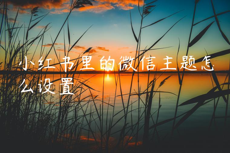 小红书里的微信主题怎么设置 小红书里的微信主题怎么设置